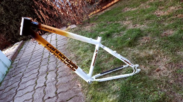 Cannondale F900 SL '01 #42