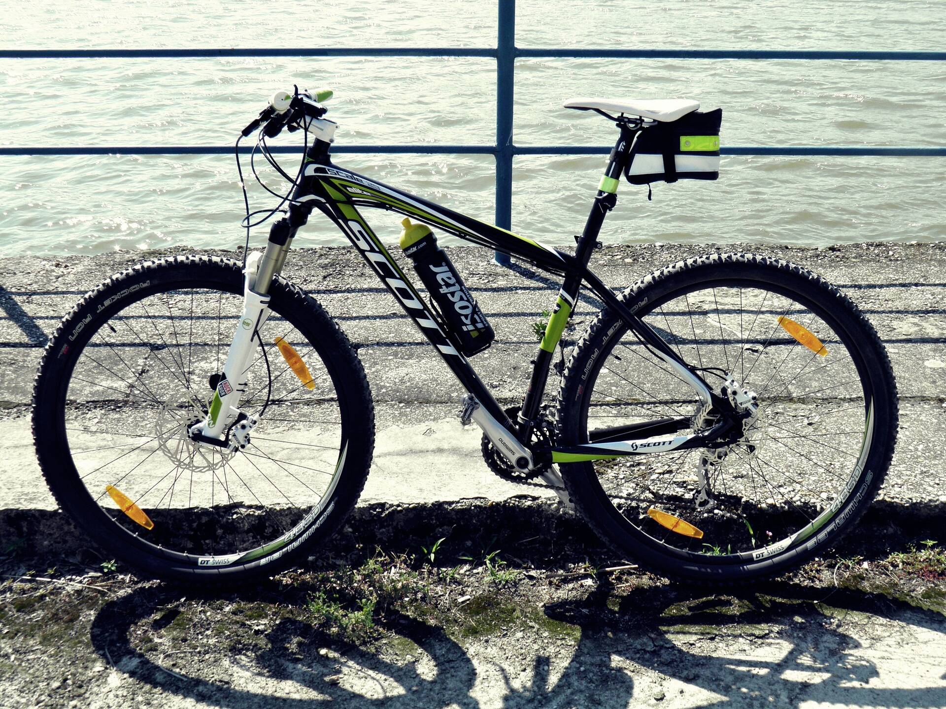 scott scale elite 29