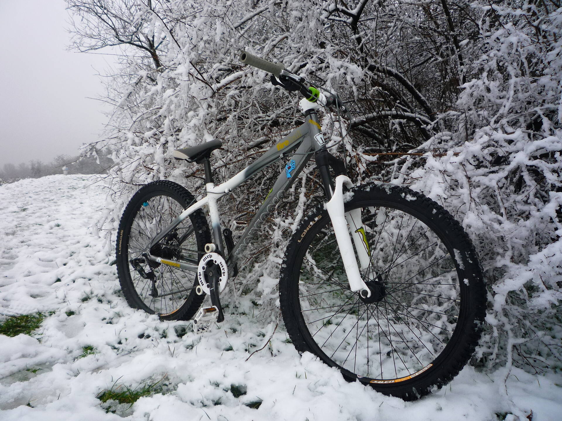 mongoose fireball 2010