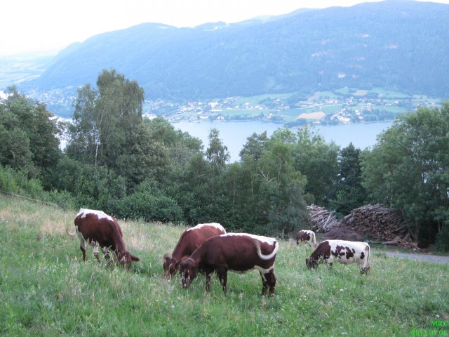Ausztria - Ossiacher See 2012 #95