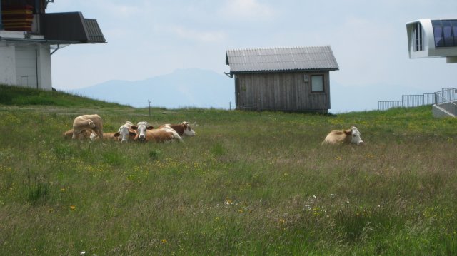 Ausztria - Ossiacher See 2012 #415