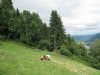 Ausztria - Ossiacher See 2012 #1536
