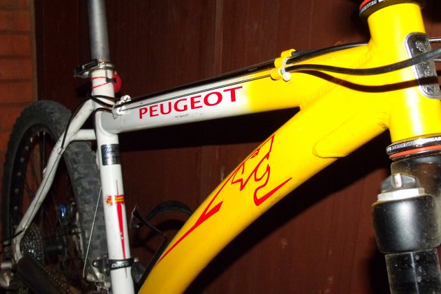 Peugeot #15