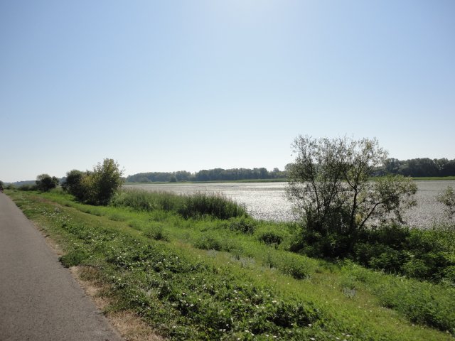 Tisza tó, avagy víz, bicikli, sör, meleg #58