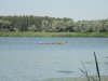 Tisza tó, avagy víz, bicikli, sör, meleg #164