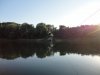 Tisza tó, avagy víz, bicikli, sör, meleg #191