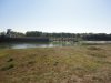 Tisza tó, avagy víz, bicikli, sör, meleg #43