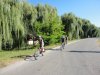 Tisza tó, avagy víz, bicikli, sör, meleg #6