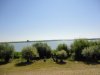 Tisza tó, avagy víz, bicikli, sör, meleg #91
