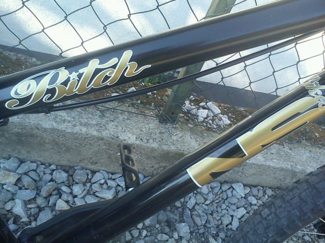 NS Bikes Bitch #1