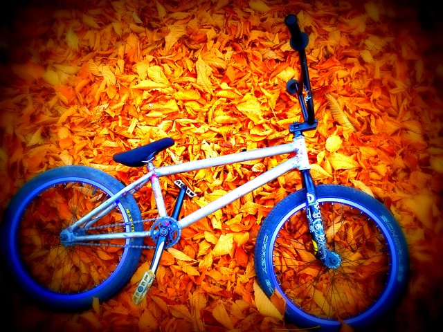 My Bike. #6