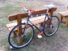 Olimpic Pro trick-fixie bike #37