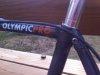 Olimpic Pro trick-fixie bike #41