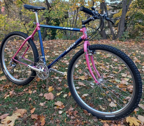 Reflex MTB #21