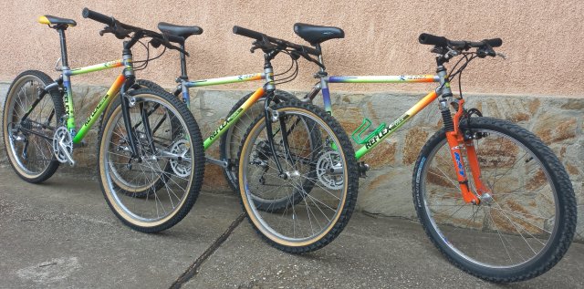 Reflex MTB #21