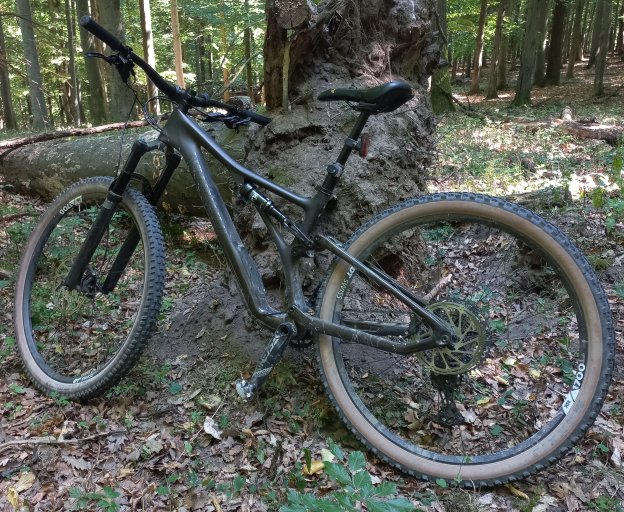 Reflex MTB #21