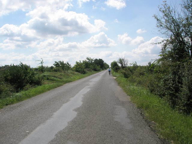 2014 Road #485
