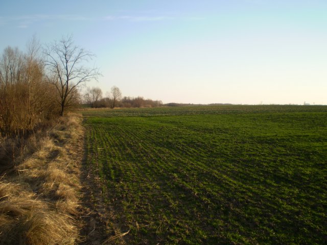 2014 - tekerések #325