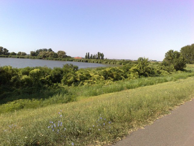 Tisza-tó 2013.08.04 #88