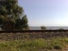 Tisza-tó 2013.08.04 #48