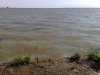 Tisza-tó 2013.08.04 #97