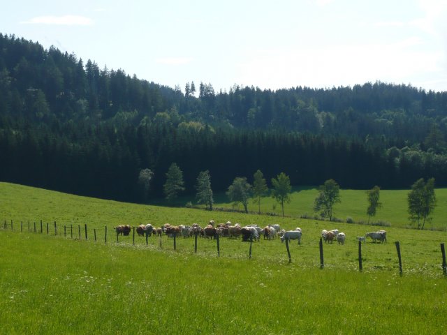 Ausztria - Ossiacher See 2009 #323