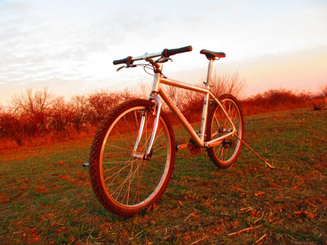 Mongoose Alta 1996 #167
