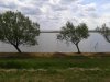 Tisza-tó 2015.05.01 #3