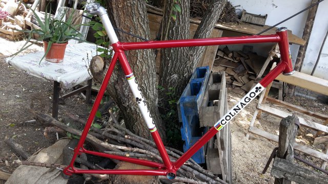 Colnago SS project #4