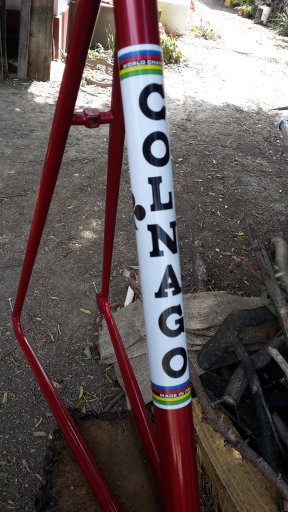 Colnago SS project #5