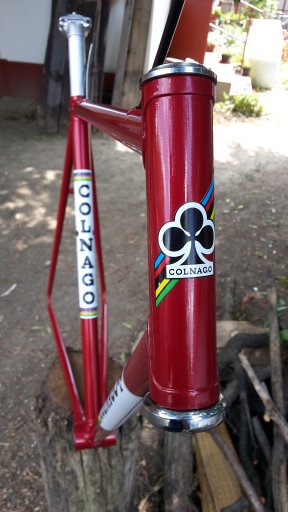 Colnago SS project #6