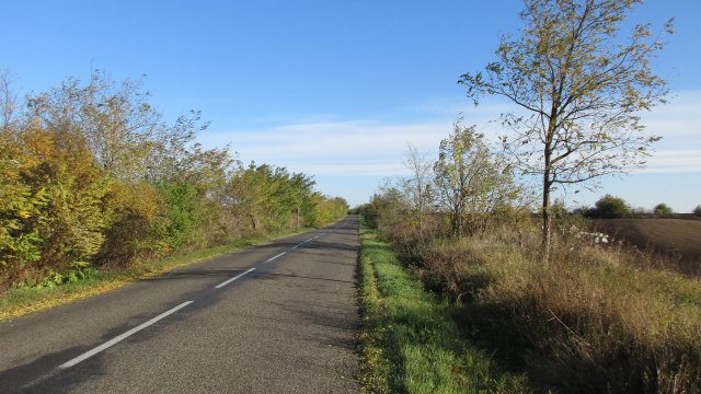 2016-os tekerések - Road #202
