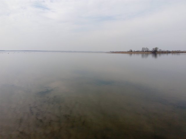 Tisza-tó 2017.03.15. #9