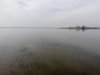 Tisza-tó 2017.03.15. #9