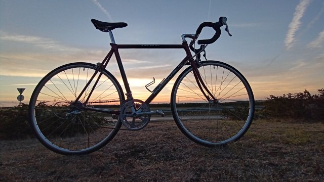 Mongoose I.B.O.C. Road Champion '94 #131