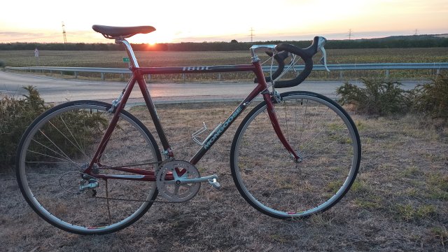 Mongoose I.B.O.C. Road Champion '94 #135