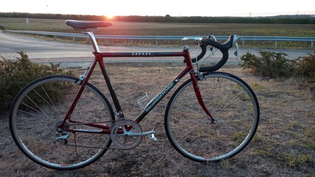 Mongoose I.B.O.C. Road Champion '94 #137