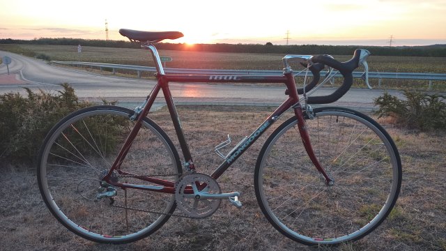 Mongoose I.B.O.C. Road Champion '94 #142