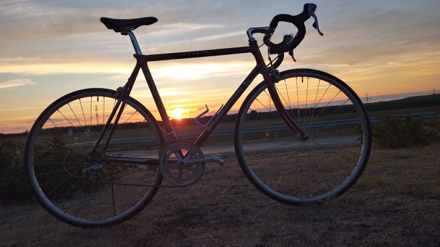 Mongoose I.B.O.C. Road Champion '94 #143