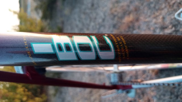 Mongoose I.B.O.C. Road Champion '94 #150