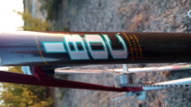 Mongoose I.B.O.C. Road Champion '94 #151