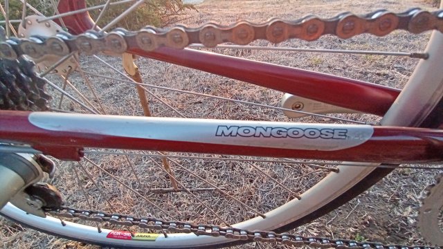 Mongoose I.B.O.C. Road Champion '94 #153