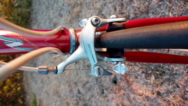 Mongoose I.B.O.C. Road Champion '94 #163