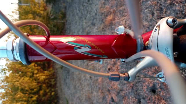 Mongoose I.B.O.C. Road Champion '94 #164