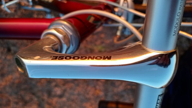 Mongoose I.B.O.C. Road Champion '94 #170