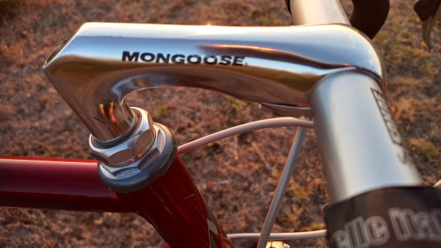 Mongoose I.B.O.C. Road Champion '94 #171