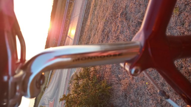 Mongoose I.B.O.C. Road Champion '94 #172