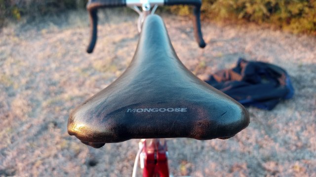 Mongoose I.B.O.C. Road Champion '94 #174