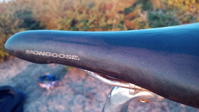 Mongoose I.B.O.C. Road Champion '94 #175