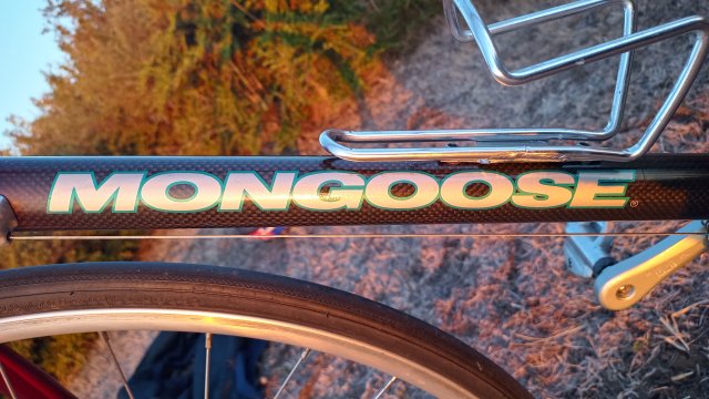 Mongoose I.B.O.C. Road Champion '94 #176